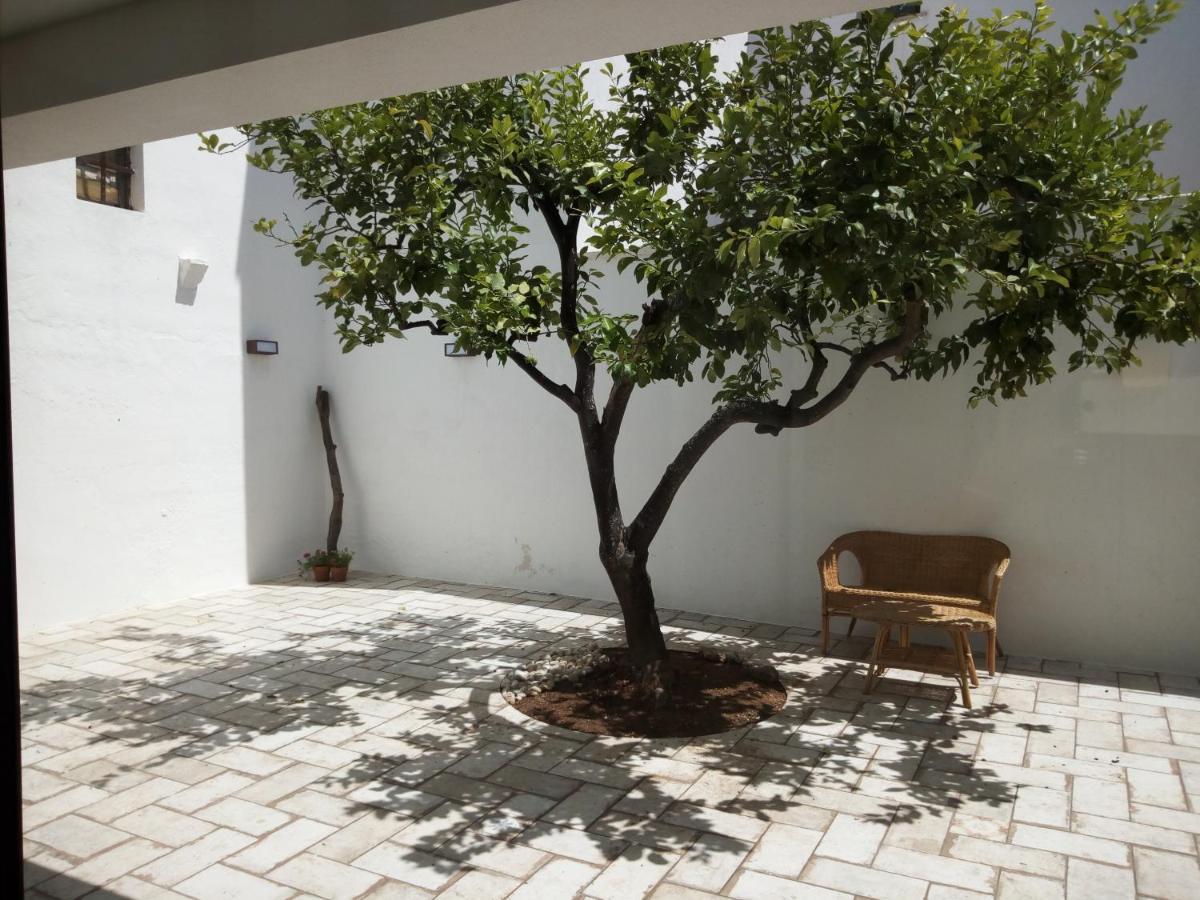 Cortile Calinea Bed & Breakfast Castrignano del Capo Exterior photo